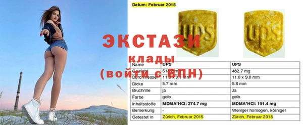 шишки Сосновка