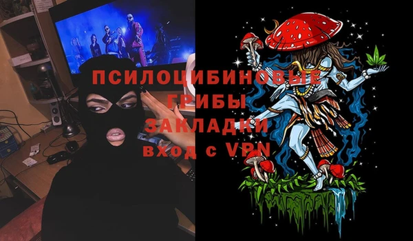 ПСИЛОЦИБИНОВЫЕ ГРИБЫ Богородицк