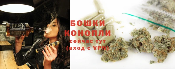 стаф Беломорск