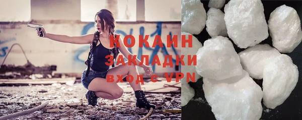 шишки Сосновка